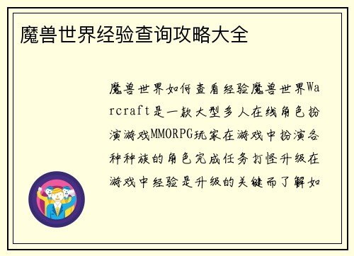 魔兽世界经验查询攻略大全